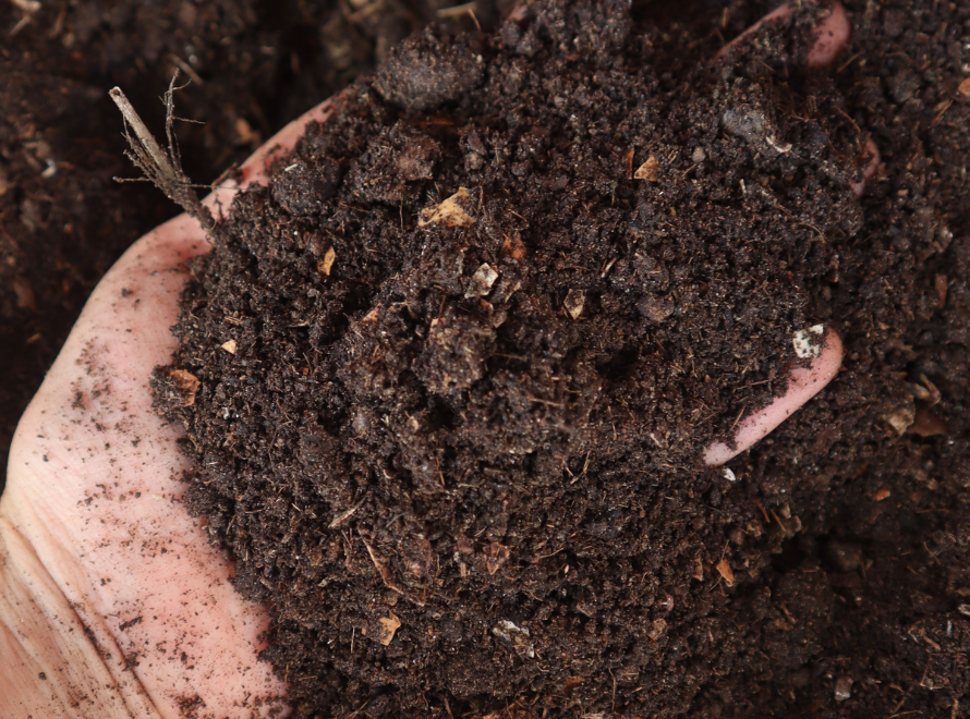 Organic Vermicompost Production
